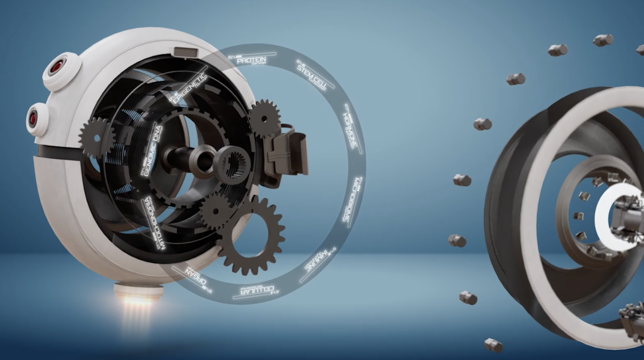 core-systems-that-make-up-wheel-of-age-dr-pablo-prichard - Forever Young with Dr. Pablo Prichard